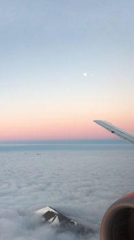 Plane View.png