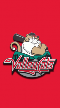 Valley Cats 01.png