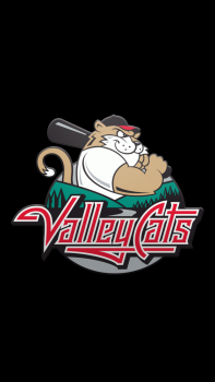 Valley Cats 03.png