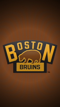 Boston Bruins.png