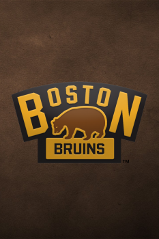 Boston Bruins.png