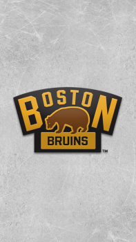 Boston Bruins.png