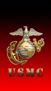 7.png