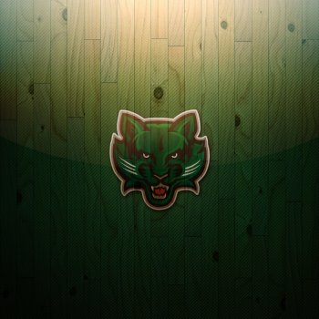 Binghamton Bearcats 02.jpg