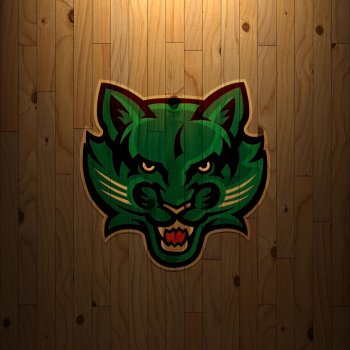 Binghamton Bearcats 05.jpg