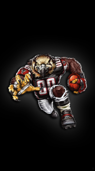 Atlanta Falcons 05.png