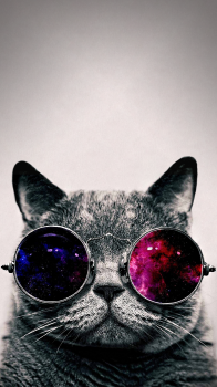 Cool Cat 01.png