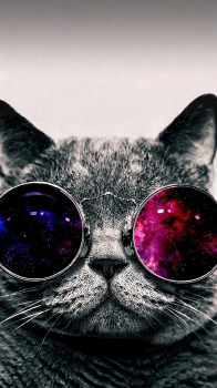 Cool Cat 02.png