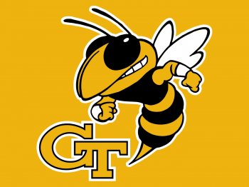 Georgia_Tech_Yellow_Jackets3.jpg