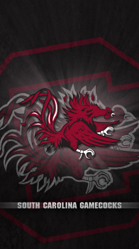 South Carolina Gamecocks 02.png