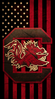 South Carolina Gamecocks 03.png