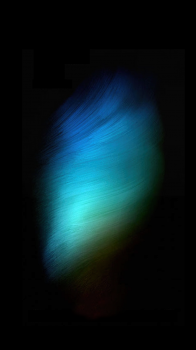1.png