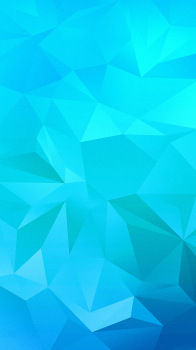 P1.png