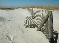 dune fence small.jpg