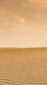 Desert 01.png