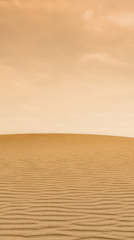 Desert 02.png