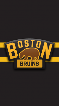 Boston Bruins.png