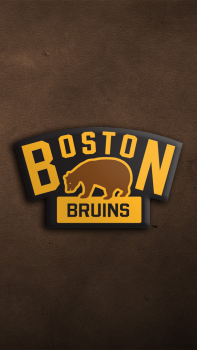 Boston Bruins.png