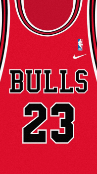 Bulls 23.png