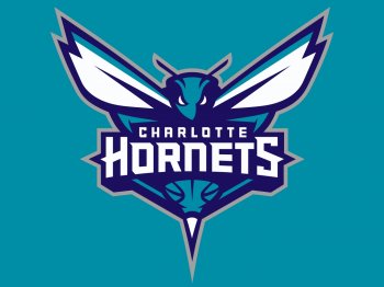 Charlotte_Hornets_2014_Primary.jpg