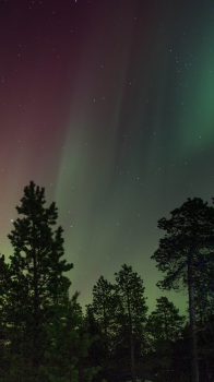 Northern Lights 02.png
