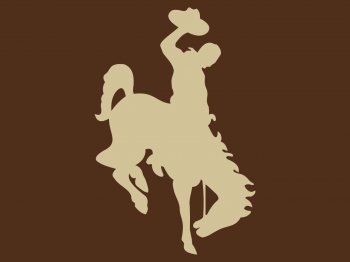Wyoming_Cowboys.jpg