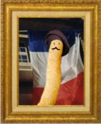 french_fry.jpg