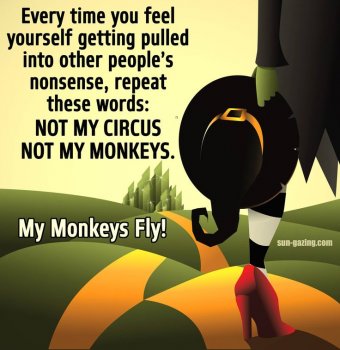 not my circus, not my monkey.jpg