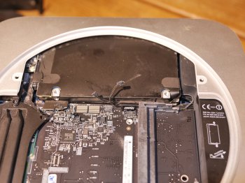 P1040094 Detached sensor right side - crop.jpg