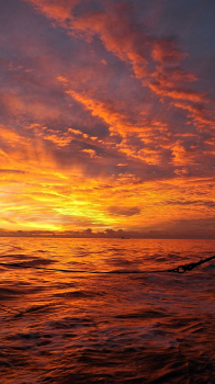 On the Water 01.png