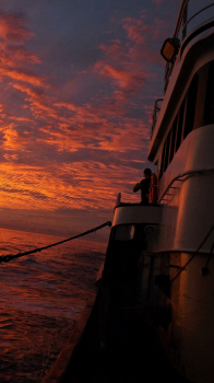 On the Water 02.png