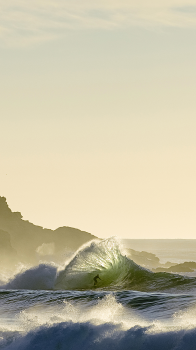 Surfer 01.png