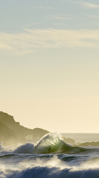 Surfer 02.png