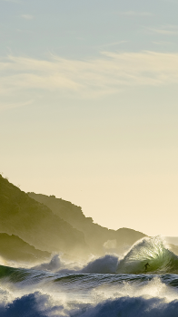Surfer 03.png