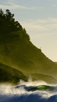 Surfer 04.png