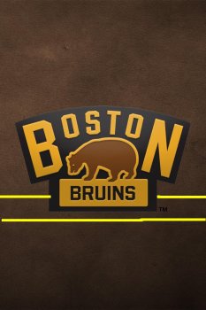 Boston Bruins 012.JPG