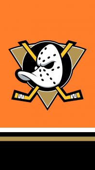 Anaheim Ducks 07.jpg