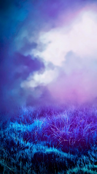 Fog Grass.png