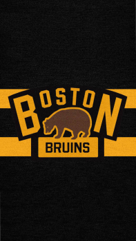 Boston Bruins 04.png