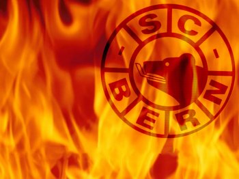 hier-regiert-der-scb1.jpg