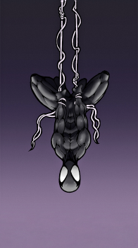 Spiderman 01.png