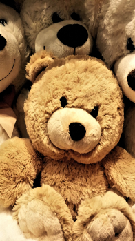 Teddy Bears 02.png
