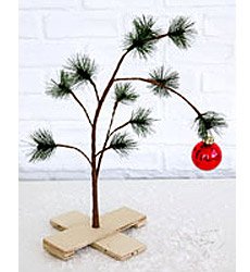 20051123_charliebrownxmastree.jpg