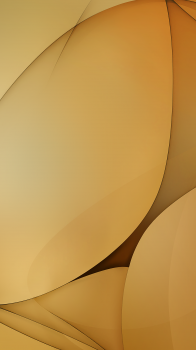 G 02.png