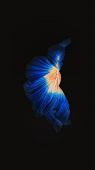 Fish 02.png