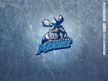 Primary-on-Ice_1600x1200.jpg