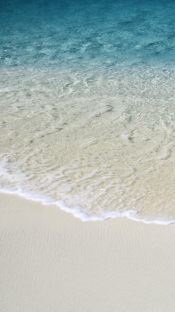 Beach Shore 01.png