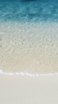 Beach Shore 02.png