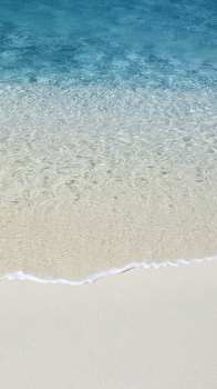 Beach Shore 03.png