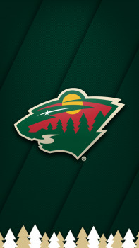 Minnesota Wild 01.png